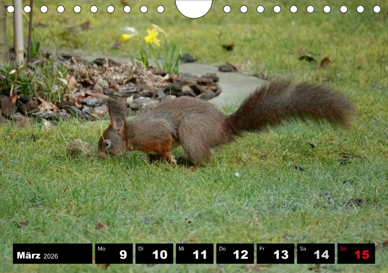 HH 2026 Wochenkalender A5