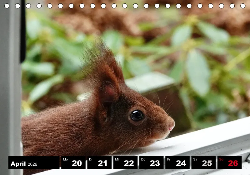HH 2026 Tisch-Wochenkalender A5