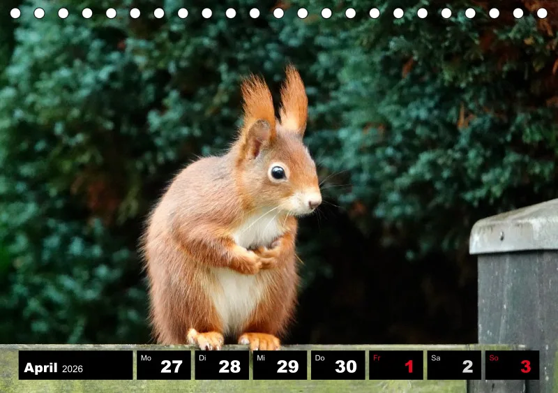 HH 2026 Tisch-Wochenkalender A5