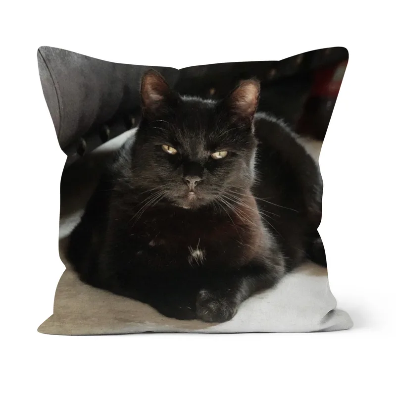 Gartenkatze Petersilie Sofakissen