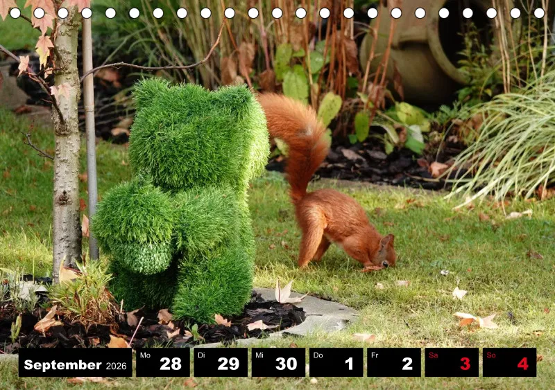 HH 2026 Tisch-Wochenkalender A5