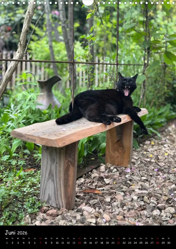 Gartenkatze Petersilie 2026