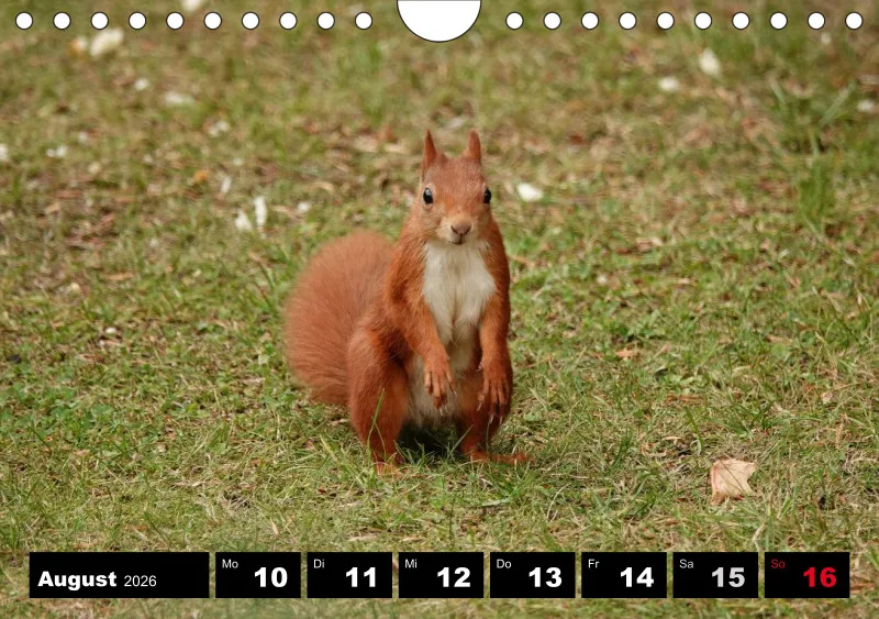 HH 2026 Wochenkalender A5