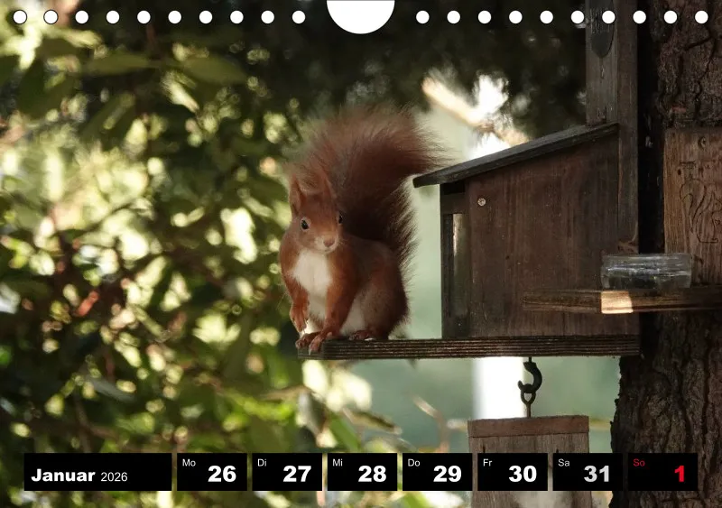 HH 2026 Wochenkalender A5