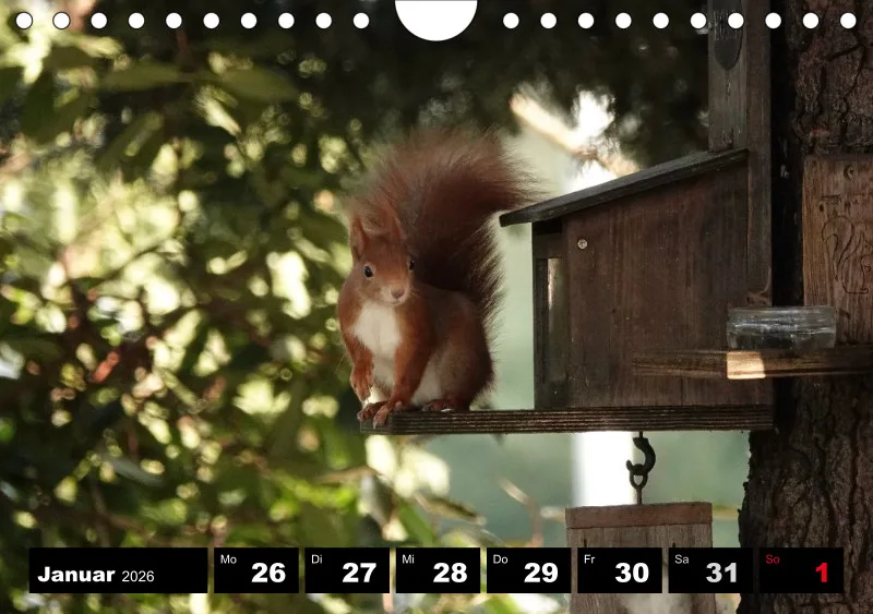 HH 2026 Wochenkalender A5