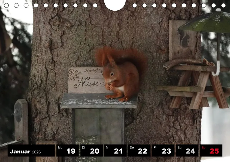 HH 2026 Wochenkalender A5