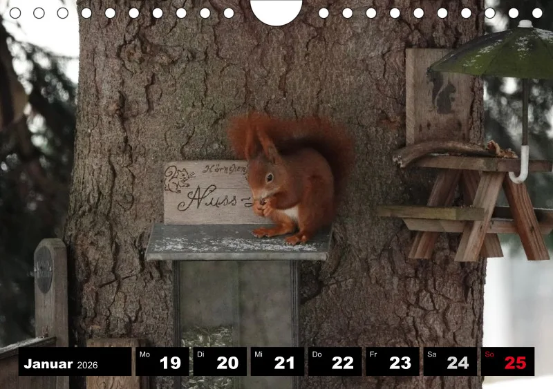 HH 2026 Wochenkalender A5