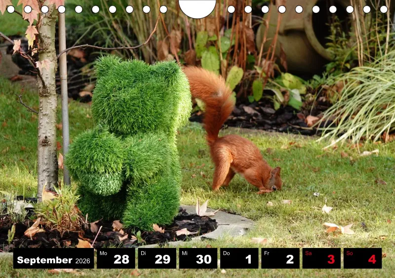 HH 2026 Wochenkalender A5
