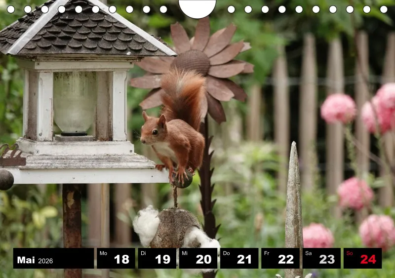 HH 2026 Wochenkalender A5
