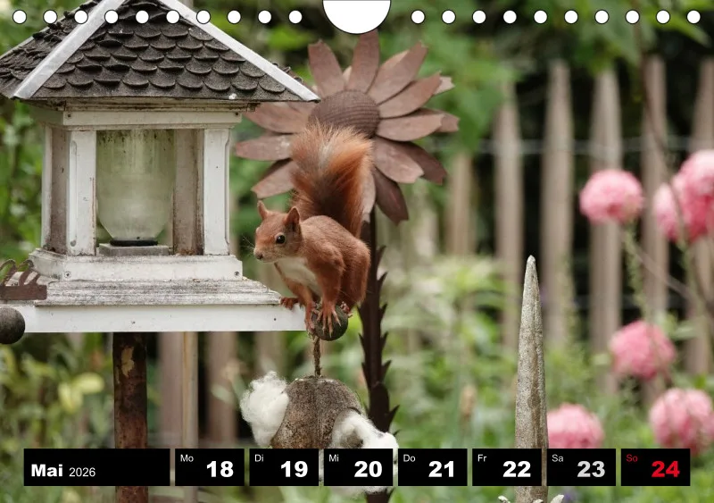 HH 2026 Wochenkalender A5
