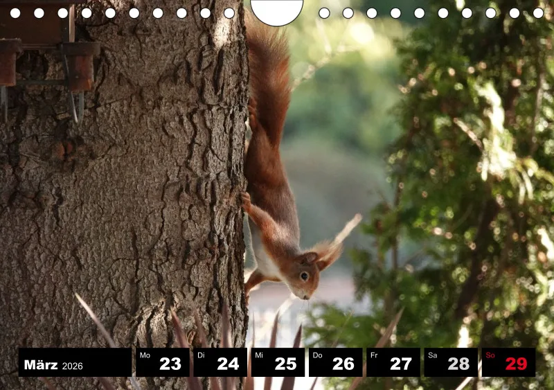 HH 2026 Wochenkalender A5
