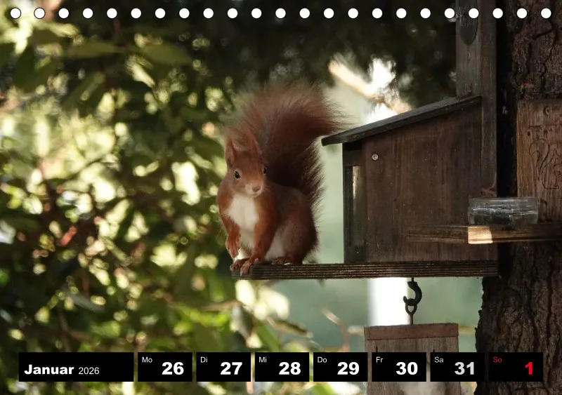 HH 2026 Tisch-Wochenkalender A5