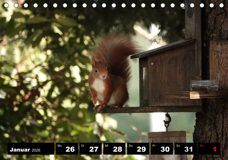 HH 2026 Tisch-Wochenkalender A5