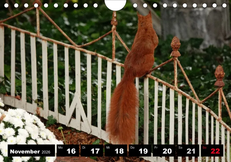 HH 2026 Wochenkalender A5