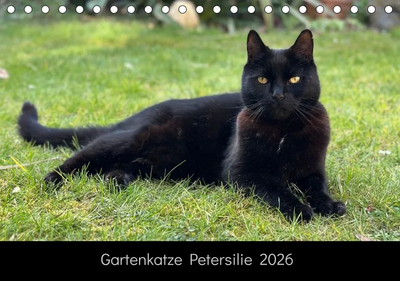 Gartenkatze Petersilie 2026