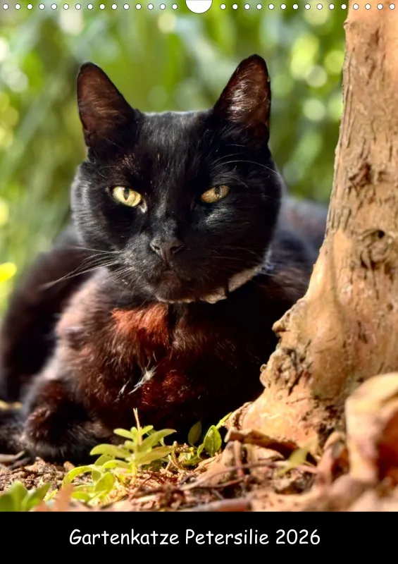 Gartenkatze Petersilie 2026