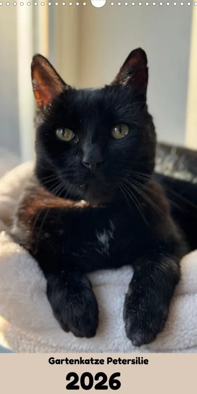 Gartenkatze Petersilie Familienplaner