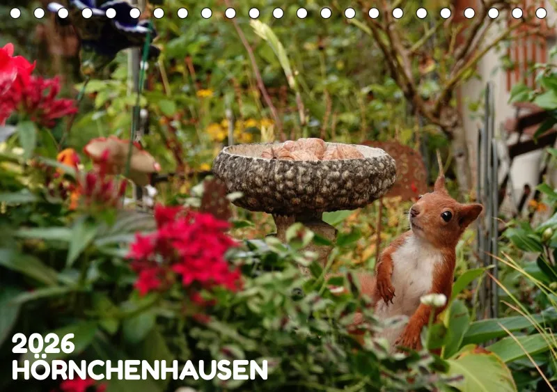 HH 2026 Tisch-Wochenkalender A5