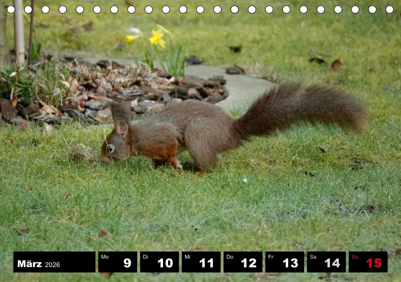 HH 2026 Tisch-Wochenkalender A5