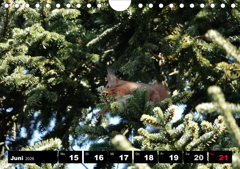 HH 2026 Wochenkalender A5