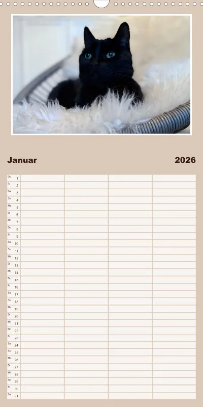 Gartenkatze Petersilie Familienplaner