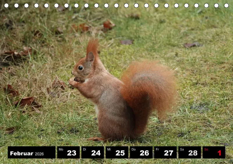 HH 2026 Tisch-Wochenkalender A5