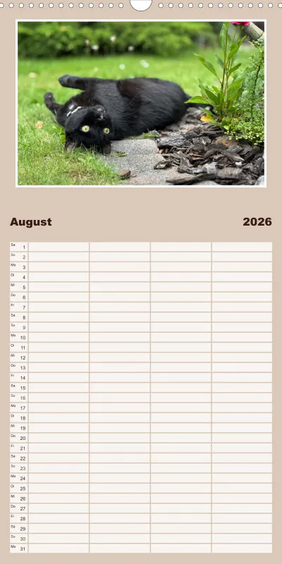 Gartenkatze Petersilie Familienplaner