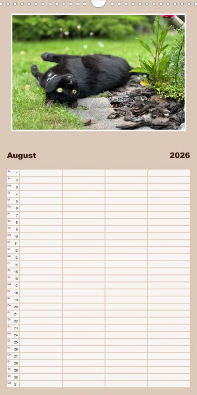 Gartenkatze Petersilie Familienplaner