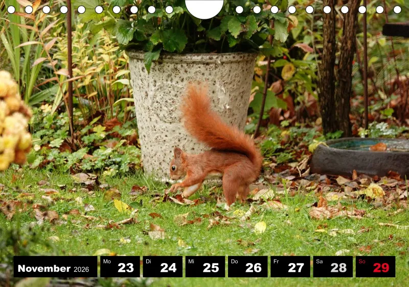 HH 2026 Wochenkalender A5