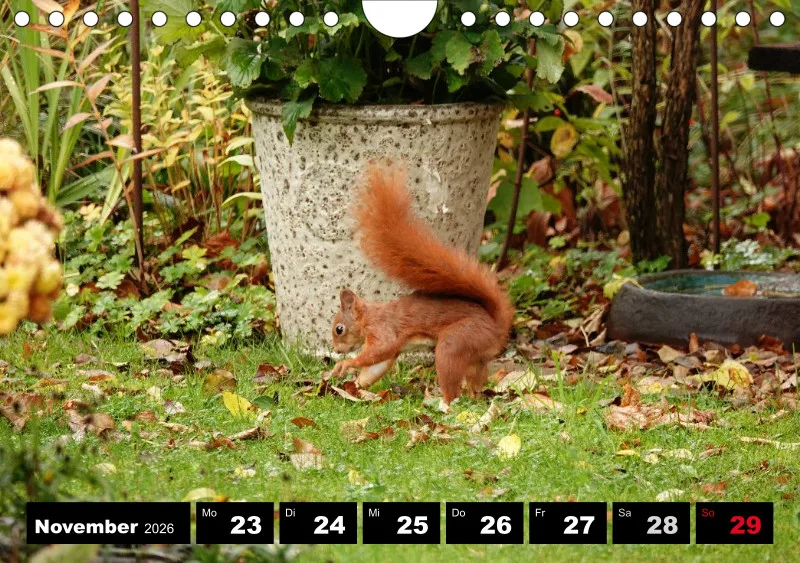 HH 2026 Wochenkalender A5