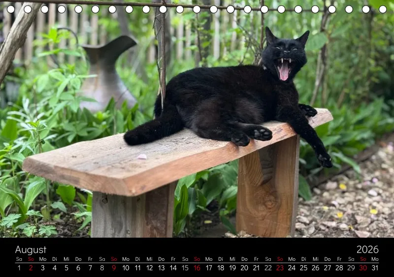 Gartenkatze Petersilie 2026