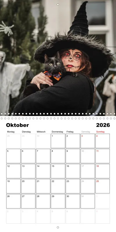 Gartenkatze Petersilie 2026