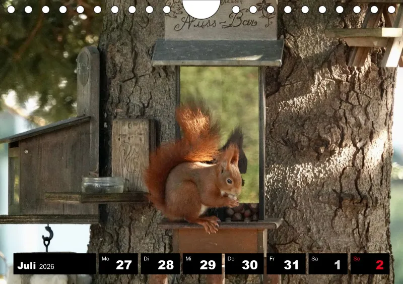 HH 2026 Wochenkalender A5
