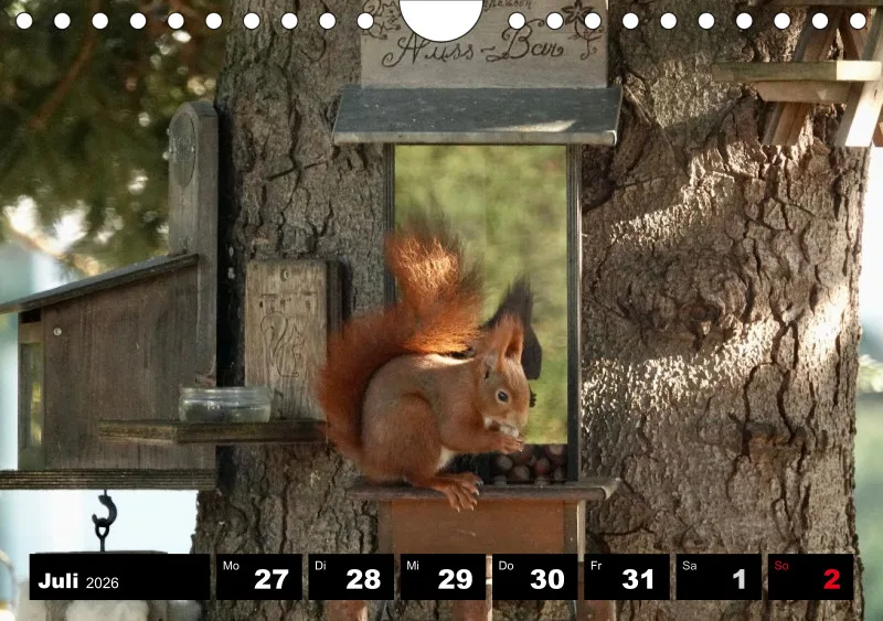 HH 2026 Wochenkalender A5