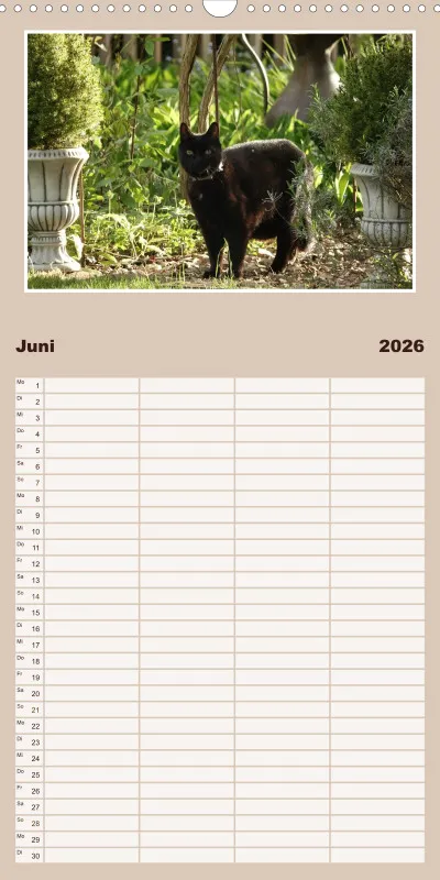 Gartenkatze Petersilie Familienplaner