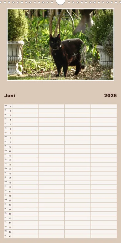 Gartenkatze Petersilie Familienplaner
