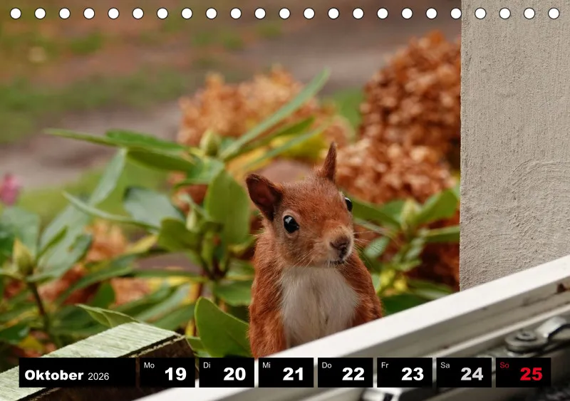 HH 2026 Tisch-Wochenkalender A5