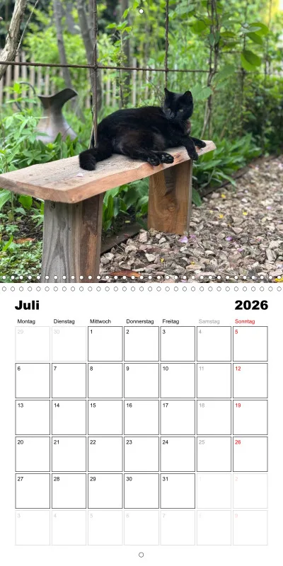 Gartenkatze Petersilie 2026