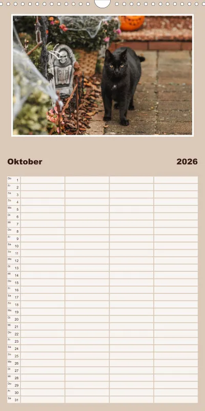 Gartenkatze Petersilie Familienplaner