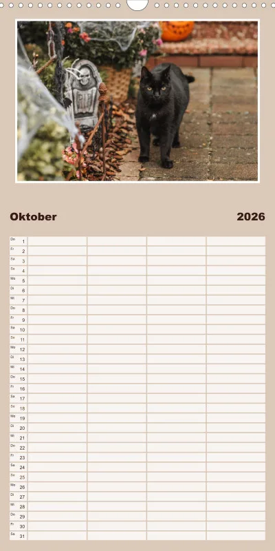 Gartenkatze Petersilie Familienplaner