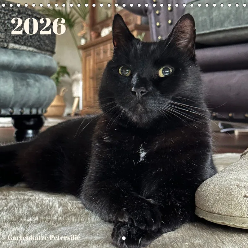 Gartenkatze Petersilie 2026