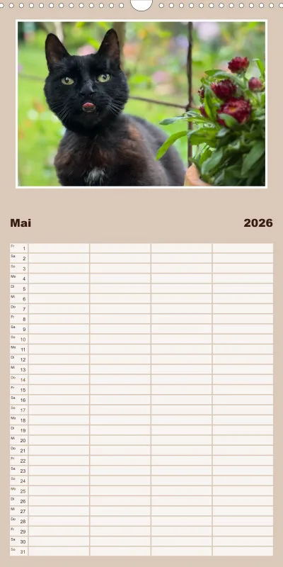 Gartenkatze Petersilie Familienplaner
