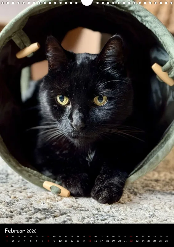 Gartenkatze Petersilie 2026