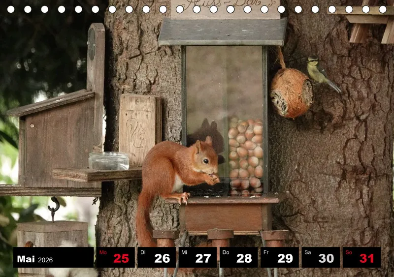 HH 2026 Tisch-Wochenkalender A5