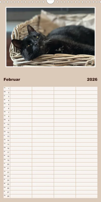 Gartenkatze Petersilie Familienplaner