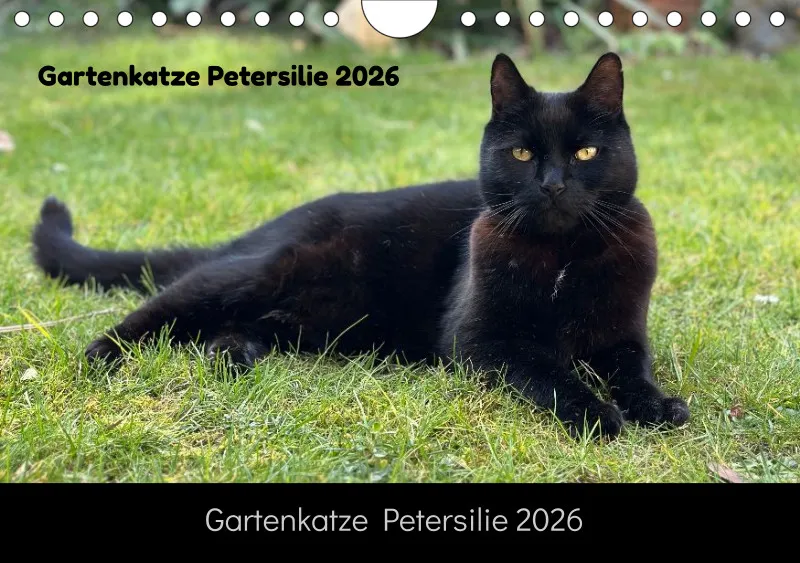 Gartenkatze Petersilie 2026 A5 Kalender