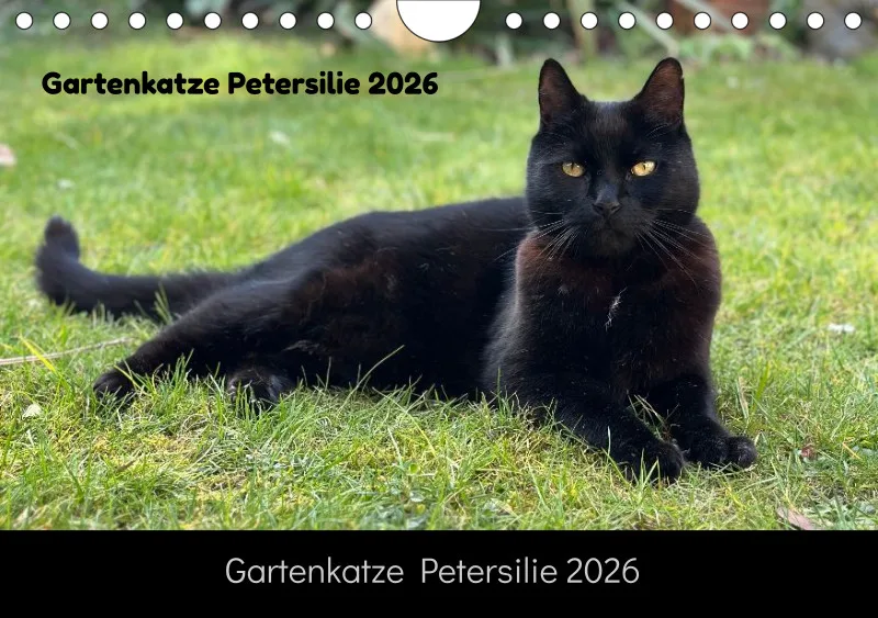 Gartenkatze Petersilie 2026 A5 Kalender