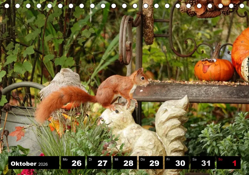 HH 2026 Tisch-Wochenkalender A5