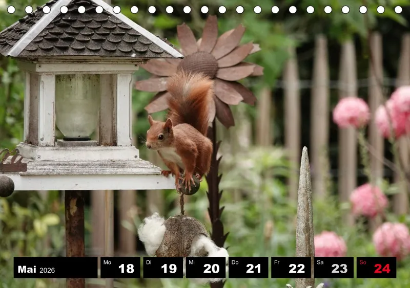 HH 2026 Tisch-Wochenkalender A5