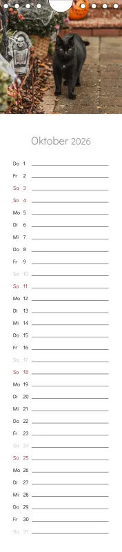 Gartenkatze Petersilie 2026 Spiralkalender